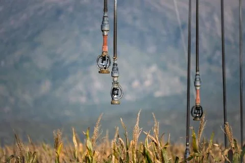 Close-up of sprinkler, of pivot system Stock Photos