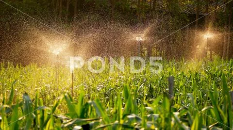 Close up of sprinklers with grass detail Stock Photos