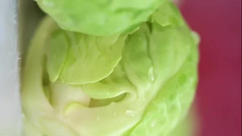 CLOSE UP SPROUTS RT  Stock Footage 280982676