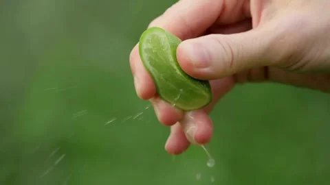 Close-up squeezing fresh lime juice by hand. squeezing juice of half a fresh Видео 336588947