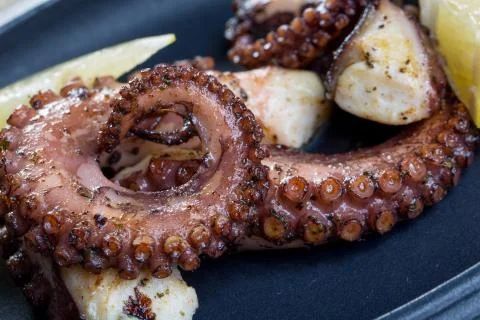 Close up squid tentacles with lemon on black plate Stock Photos