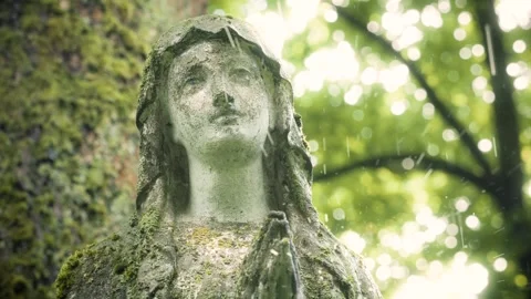Close-up of St. Mary statue in the rain at Bernardine Cemetery Видео 337304844