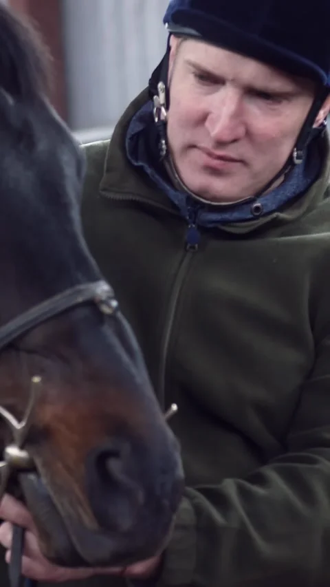 Close-up, in a stable, a man strokes a muzzle of a thoroughbred, Black horse Stock Footage 315090823