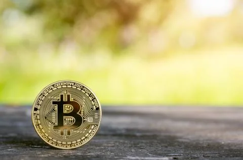 Close up stack of bitcoin on old wood table with nature copy space background Fotos Stock