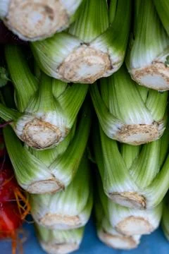 Close up of stack of celery stalks with water droplets 스톡 사진