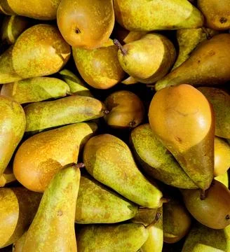 Close up of a Stack of delicious fresh green yellow pears in a supermarket Stock Photos