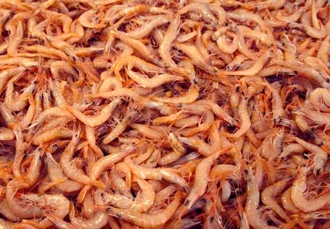 Close-up of a stack of fresh prawns in a market Stock Photos