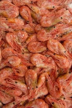 Close-up of a stack of frozen pink shrimp. Frozen shrimp background. Stock Photos