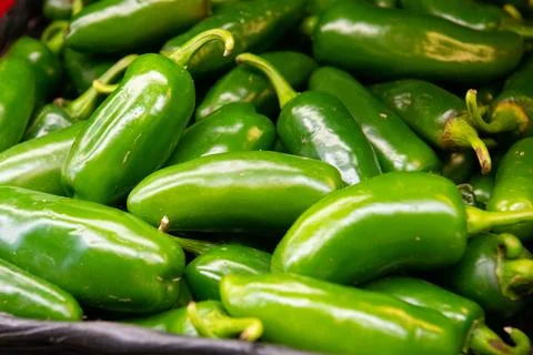 Close up on a stack of green bell peppers on a market stall Stock Photos