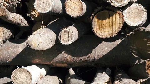 Close up of stack of wood Stock-Footage 81256388