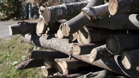 Close up of stack of wood Stock Footage 81256484