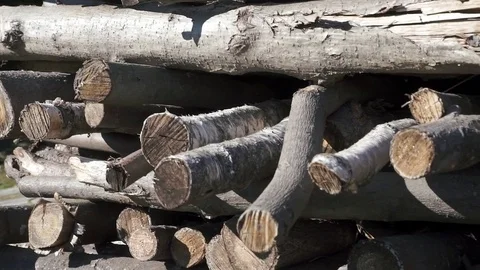 Close up of stack of wood Stock-Footage 81256535
