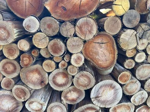 Close-up of stacked firewood logs Stock Photos