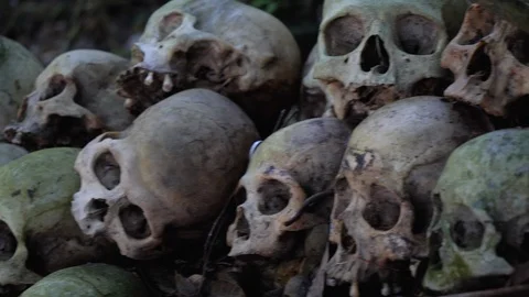 Close up of stacked up human skulls on rock in forest in Trunyan, Bali Stock Footage 140270949