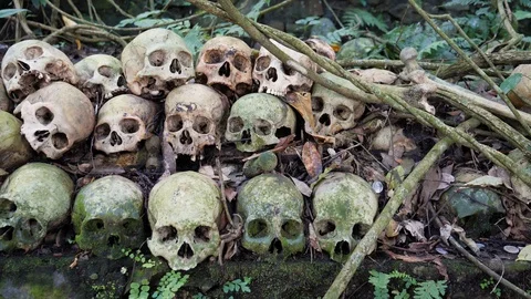 Close up of stacked up human skulls on rock in forest on Skull Island, Bali Stock Footage 140273670