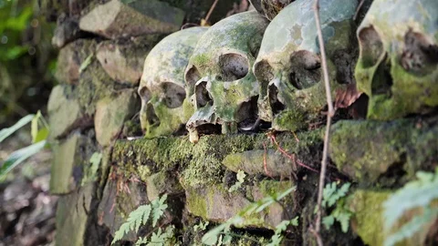 Close up of stacked up skulls in forest in Trunyan on Skull Island, Bali Stock Footage 140274050