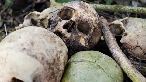 Close up of stacked up skulls in forest in Trunyan on Skull Island, Bali Stock Footage 140274415