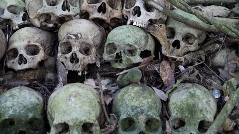 Close up of stacked up skulls on rock in forest, Skull Island, Bali, Indonesia Stock Footage 140273559