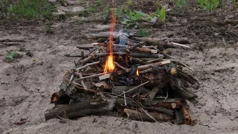Close-up on starting of a campfire in the forest Video stock 77688432
