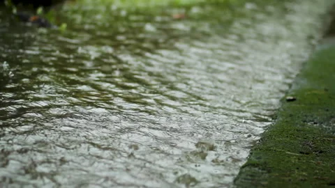 Close-up, static, rack focus background of rain falling on grass Stock Footage 272347888