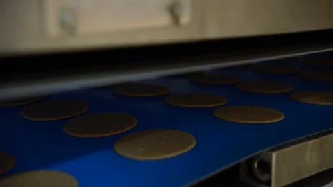 Close up static shot of flat uncooked dough circles rolling along food Stock Footage 107043770