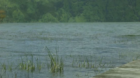 Close-up static shot of lake flooding grassy shore Stock Footage 203426761