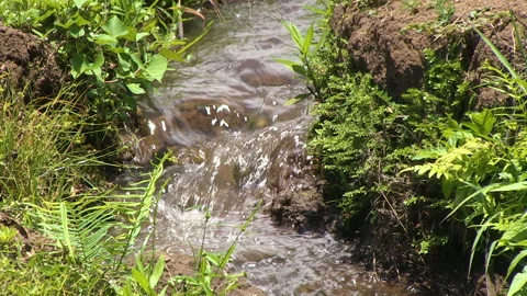 Close-up static shot water flowing thru a small irrigation ditch Stock Footage 243766317