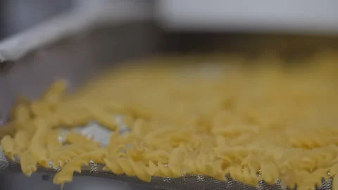 Close static view of conveyor belt shaking moves that motion manufactured pasta Video stock 160449034