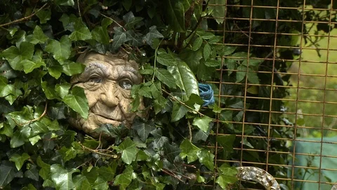 Close up of a statue's face covered in ivy Video stock 118981466