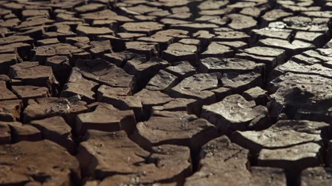 Close up steadicam of dried mud ridges in the savanna Video stock 278932183