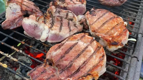 Close-up steaks are fried on a brazier grill on charcoal Stock-Footage 200493875