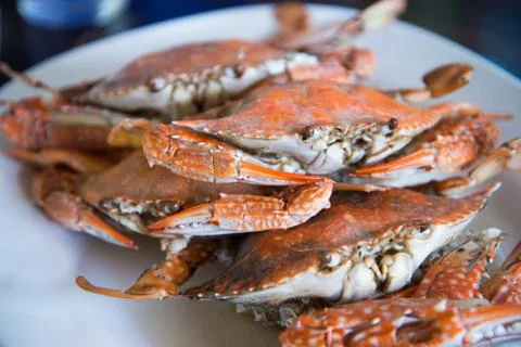 Close-up steamed blue crabs Stock Photos