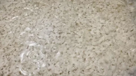 Close-Up of Steamed Grated Coconut Texture. Video stock 336891002