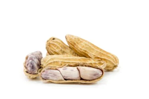 Close up steamed peanuts on white background Stock Photos