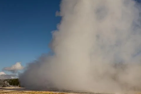 Close up of steaming and gushing old faithful geyser in thermal nature of yel Stock Photos