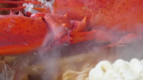 Close-up of Steaming Fresh Cooked Lobster with Ramen Noodles Stock Footage 338211076