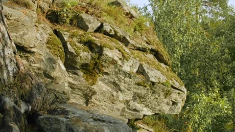 Close-up of a steep cliff covered with moss. Low-angle view. Stock Footage 284720132
