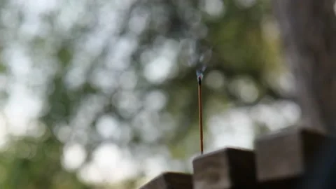 Close-up, a stick of incense is smoking on a beautiful blurred background Stock Footage 229860441