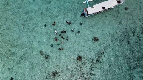 Close to stingrays, Bora bora, Tahiti Stock Footage 122286765