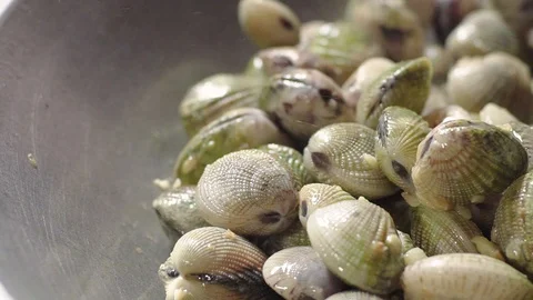 Close Up Stir Fried Quahaug Shell with Garlic in Frying Pan Stock Footage 128941174