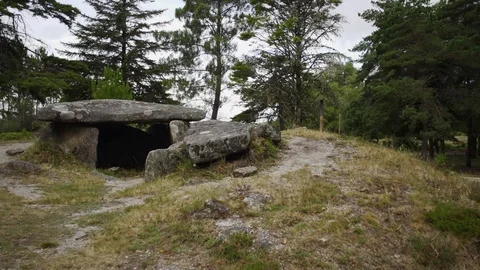 Close up of stone formation in tree forest during day time, Portugal Stock-Footage 128966462