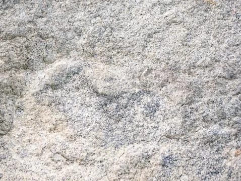 Close up of stone ground floor surface background for texture Stock Photos