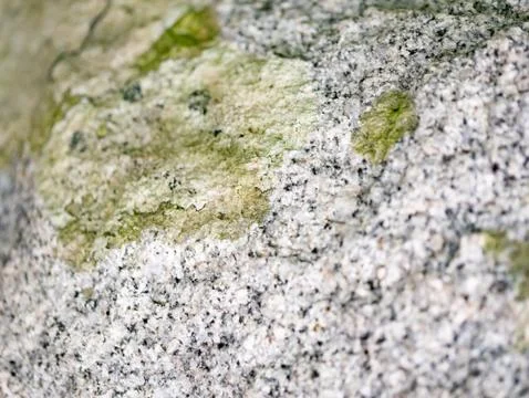 Close up of stone ground floor surface background for texture Foto stock