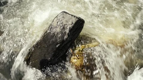 Close-Up of Stone in Mountain Stream with Light and Shadow Play Video stock 316820841