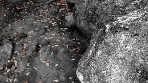 Close up on the stone in the park. Stock Footage 196561141