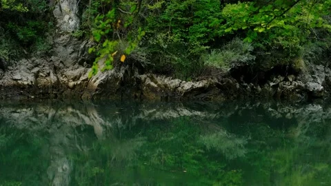 Close up stone reflection in green lake water Stock Footage 170242924