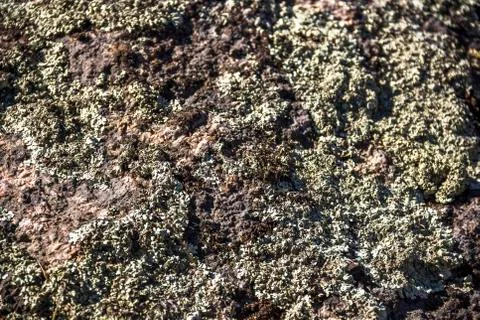 Close-up stone texture Stock Photos