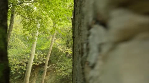Close stone wall of Kirazli Monastery ruins Stock Footage 336467025