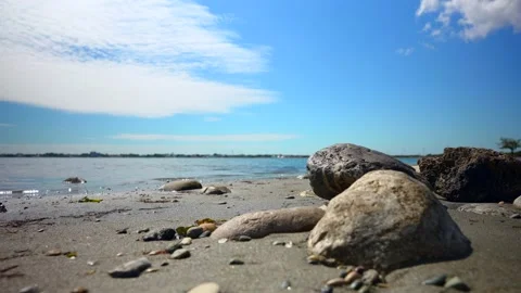 Close-up of stones on the beach. Stock Footage 165613530