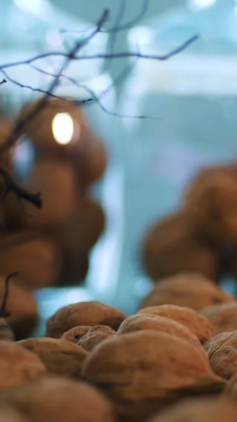 Close-up, stored in glass jars are seeds, walnuts, various species grown on Stock Footage 322111422